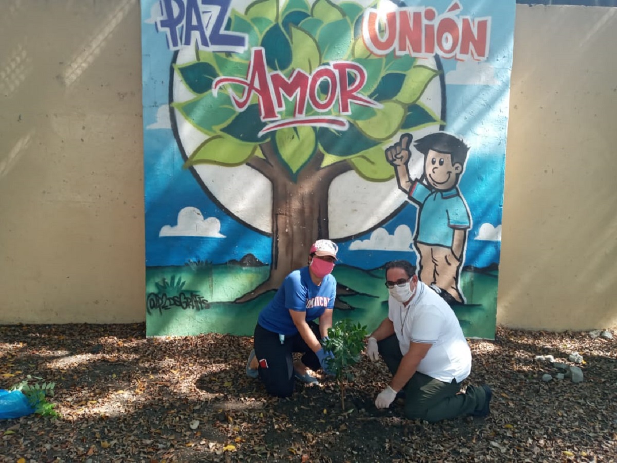  imagen Arbol siendo sembrado 