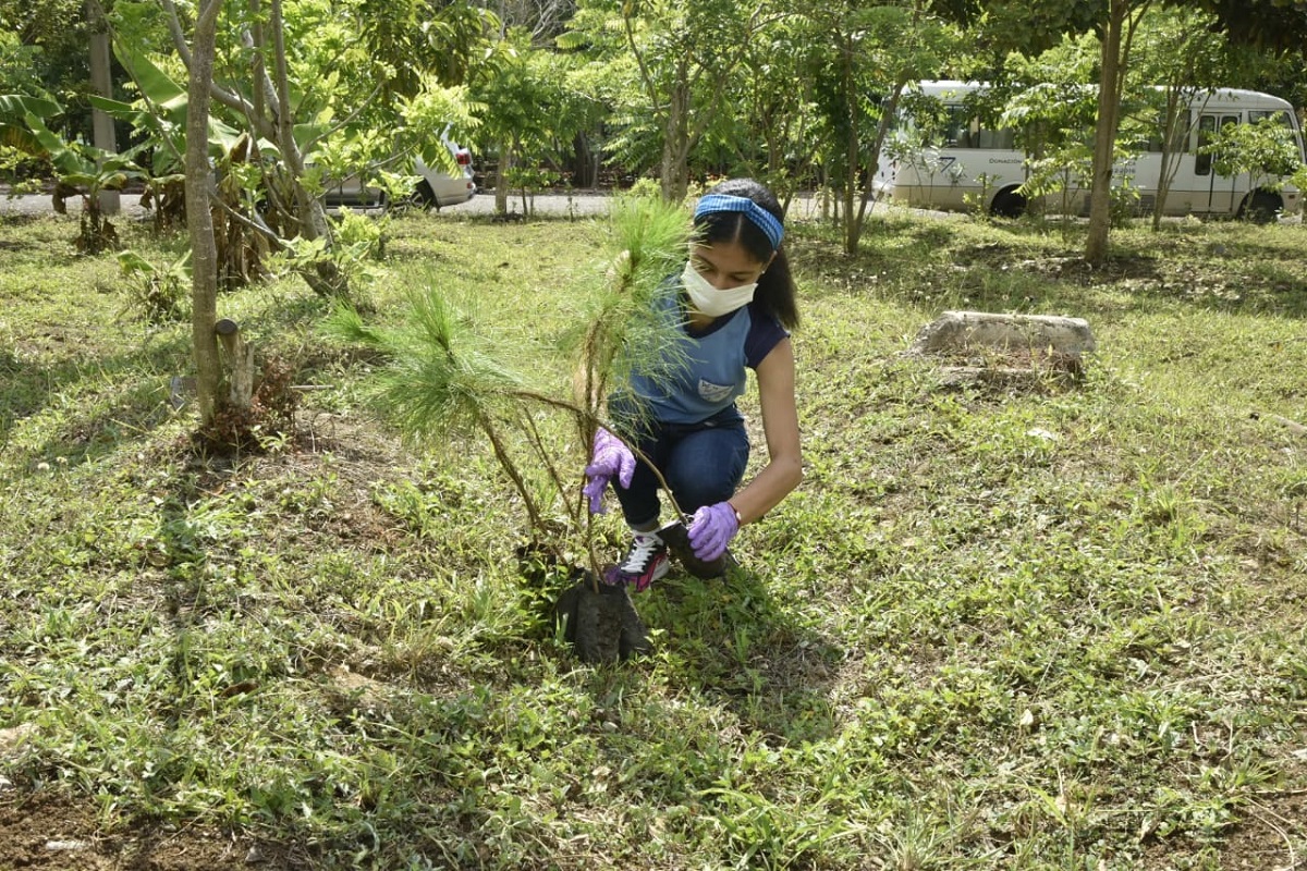  imagen Los educandos Anthony Cruz, Iv&aacute;n Goris y Amalia Hidalgo sembraron varias plantas en la zona boscosa del Liceo Cient&iacute;fico 