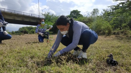  imagen Joven siembra arbol 