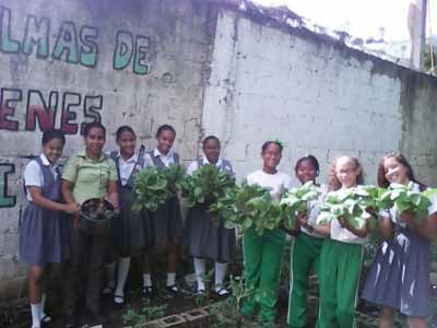  imagen El Programa de Huertos Escolares cosecha buenos frutos en San Pedro de Macorís 